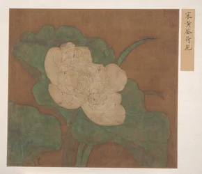 Lotus (feuille d
