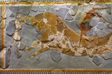 Détail de la fresque du saut de taureau, trouvée à Cnossos