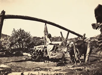 Indigène Noria