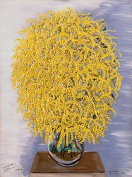 Mimosas