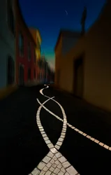 Sentier sinueux au clair de lune