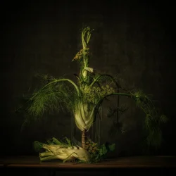 Nature morte au fenouil mélancolique