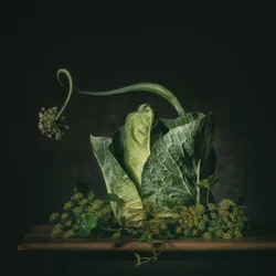 Nature morte « Moody Green »
