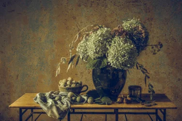 Nature morte rustique et mélancolique