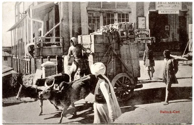 Chariot à bœufs, c.1900-20
