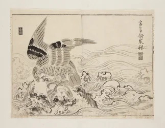 Faucon et petit oiseau dans les vagues
