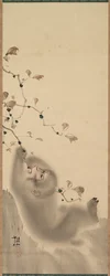 Singe accroché à une branche, 1780
