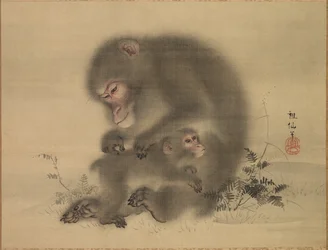 Singes