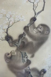 Singes dans un cerisier en fleurs, 1 sur 2, Mori Sosen, Japon, période Edo, début des années 1800, encre et couleur sur soie - Arthur M. Sackler Museum, Harvard University - DSC01127