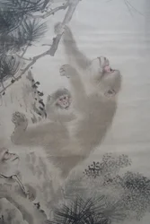 Mori Sosen, singes dans les pins devant une cascade