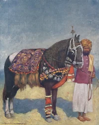 Un cheval de Jodhpur, 1903