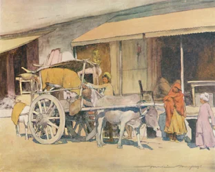 Un chariot à bœufs, Ajmere, 1905
