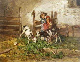 Enfants et chèvres dans une grange