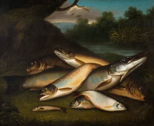 Poisson