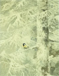 Chardonneret dans un arbre enneigé