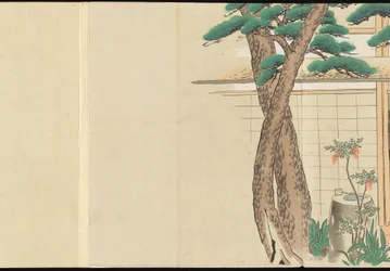 Illustrations de la production du thé Uji