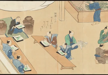Illustrations de la production du thé Uji