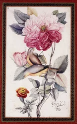 Gul-o Bulbul, vers 1849-50