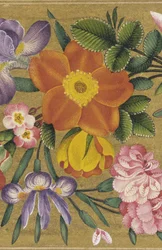 Page de l