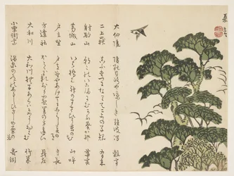 Grand arbre et oiseaux, vers 1830-44