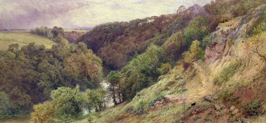 Un vallon dans le Devonshire
