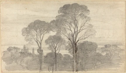 Paysage du soir avec de grands arbres