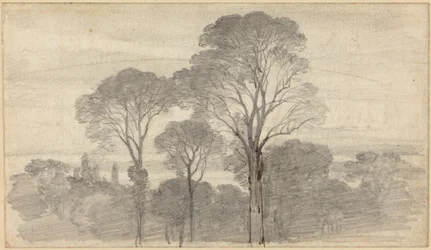 Un paysage du soir avec de grands arbres