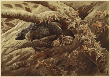 Une crèche bruyante