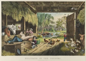 Vacances à la campagne, mouches gênantes