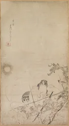 Chiots, Moineaux et Chrysanthèmes