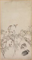 Chiots, Moineaux et Chrysanthèmes
