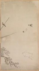 Chiots, Moineaux et Chrysanthèmes