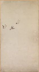 Chiots, moineaux et chrysanthèmes