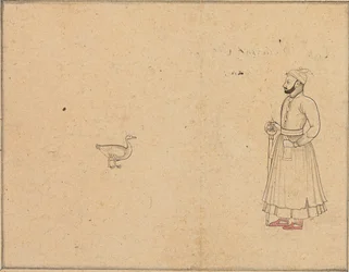 Raja Balwant Dev Singh et un cygne, vers 1750-55
