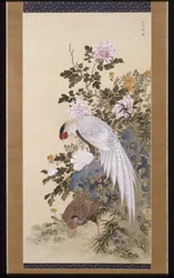 Faisans, rocher et fleurs