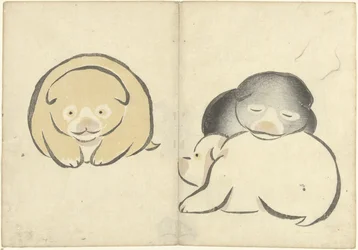 Trois jeunes chiots