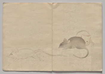 Scène du Livre d
