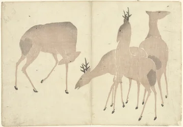 Quatre cerfs