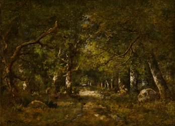 Scène de forêt