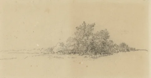 Lisière de forêt