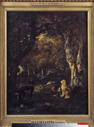 Chiens dans la forêt