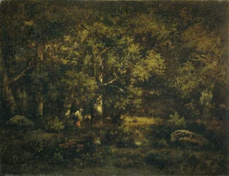 La forêt de Fontainebleau