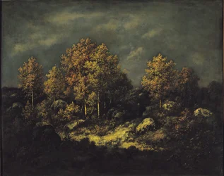 Les hauteurs de Jean de Paris dans la forêt de Fontainebleau, 1867