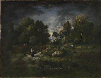 Paysage forestier avec des ramasseurs de bois