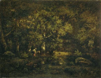 La forêt de Fontainebleau