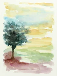 Coucher de soleil sur Lone Tree