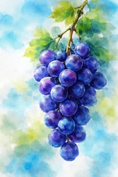 Aquarelle « Raisins violets »