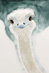 L