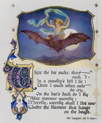 Page illuminée d