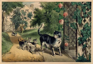 Le retour de Pussy, 1874-78